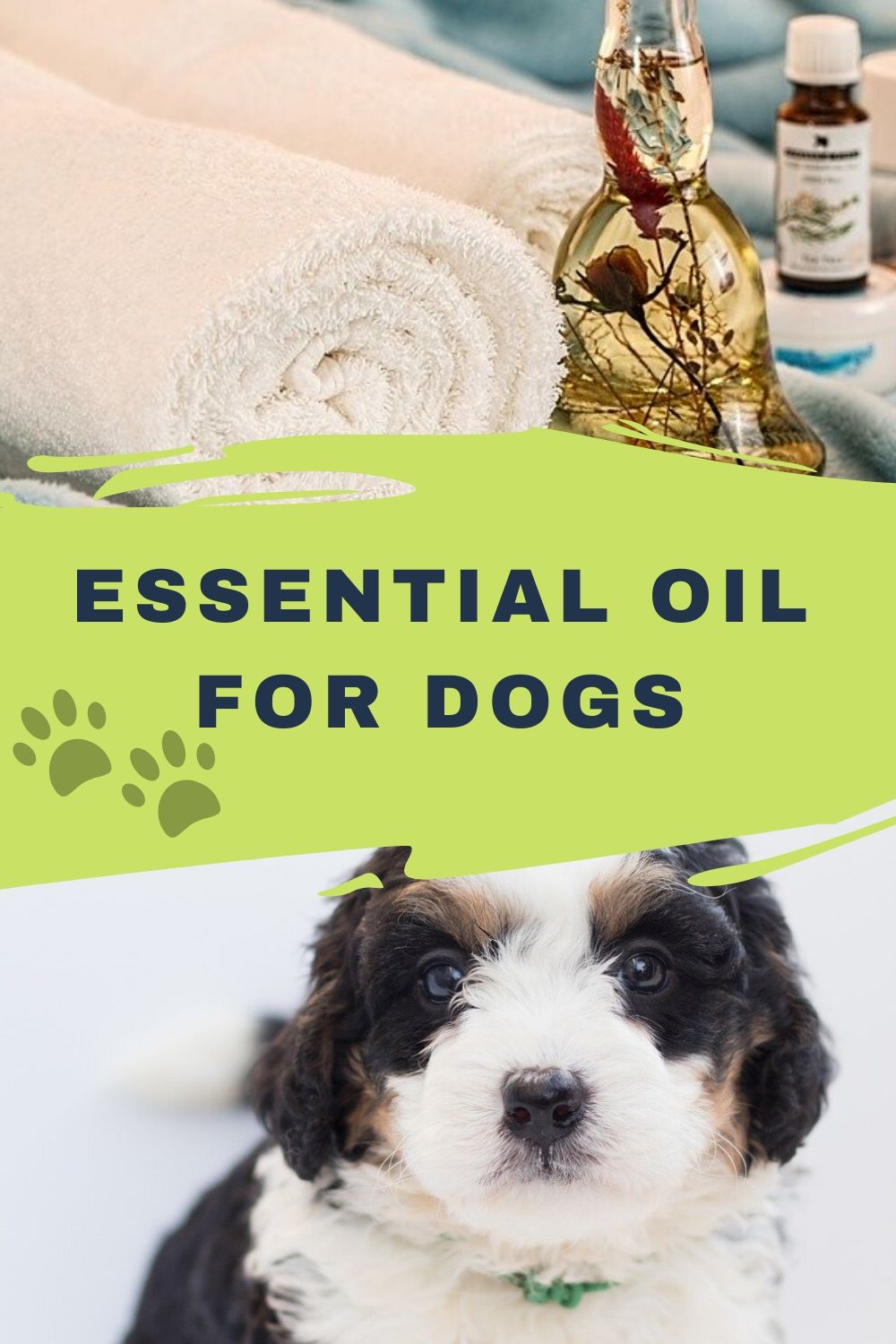 Essential Oils To Stop Dogs From Peeing atelieryuwa.ciao.jp